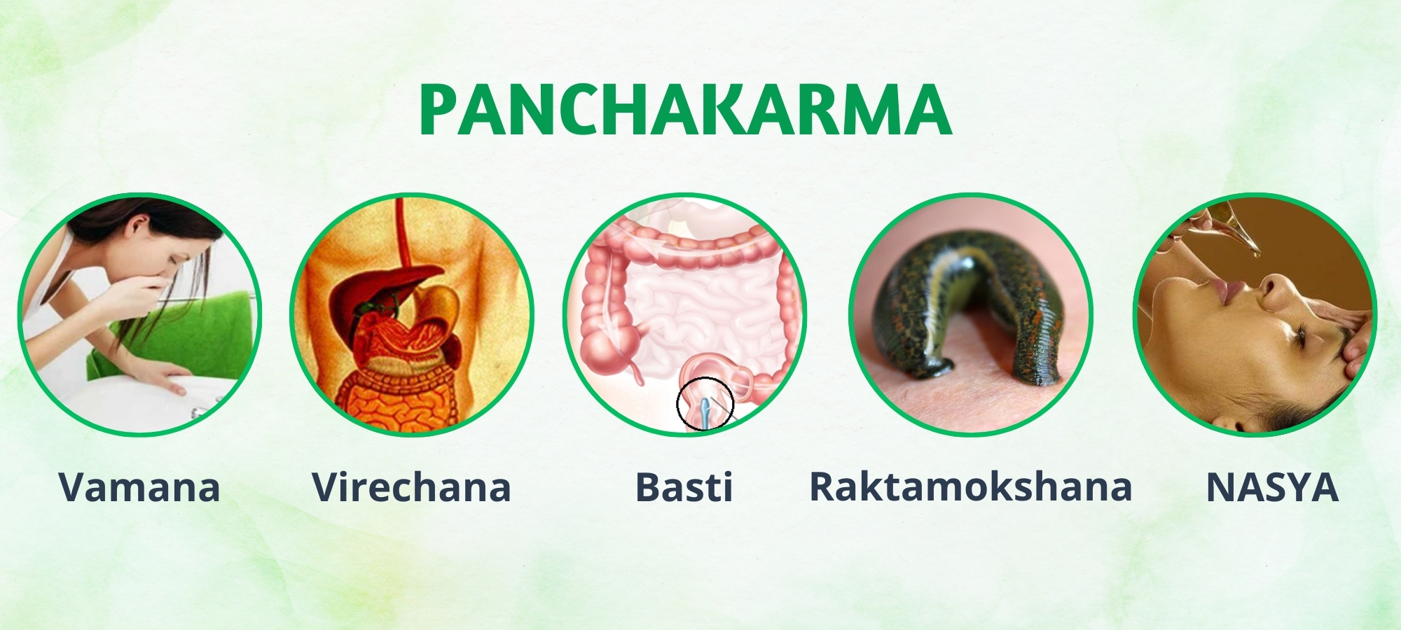 Panchakarma Methods