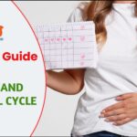 Understanding Your Menstrual cycle