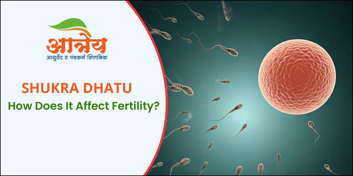 Shukra Dhatu - How Does It Affect Fertility?