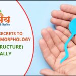 Ayurvedic Secret to Improve Sperm Morphology