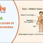 AMA - Blocker of Fertility in Ayurveda